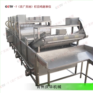 全自（zì）動綠豆芽清洗機