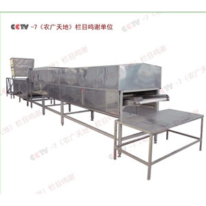 全自動黃豆芽（yá）清洗機