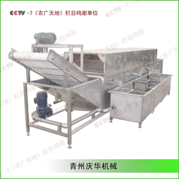 豆（dòu）芽清洗殺菌機